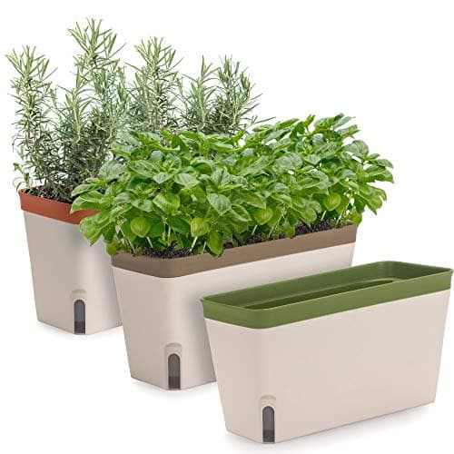 Amazing Creation Window Herb Planter Box Set - Self-Watering, Set of 3