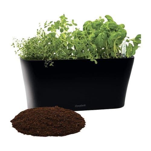 Window Garden Aquaphoric Herb Garden Tub with Fiber Soil