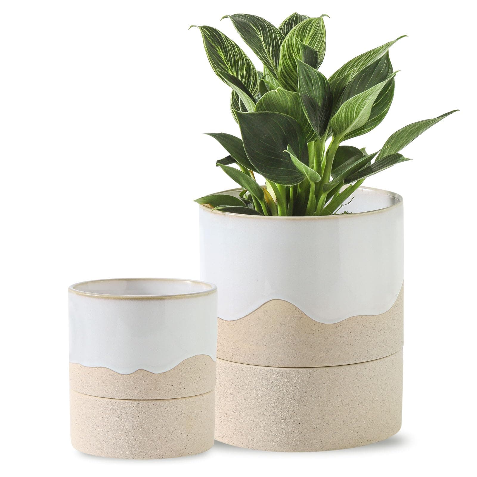Chubacoo Self-Watering Ceramic Plant Pot