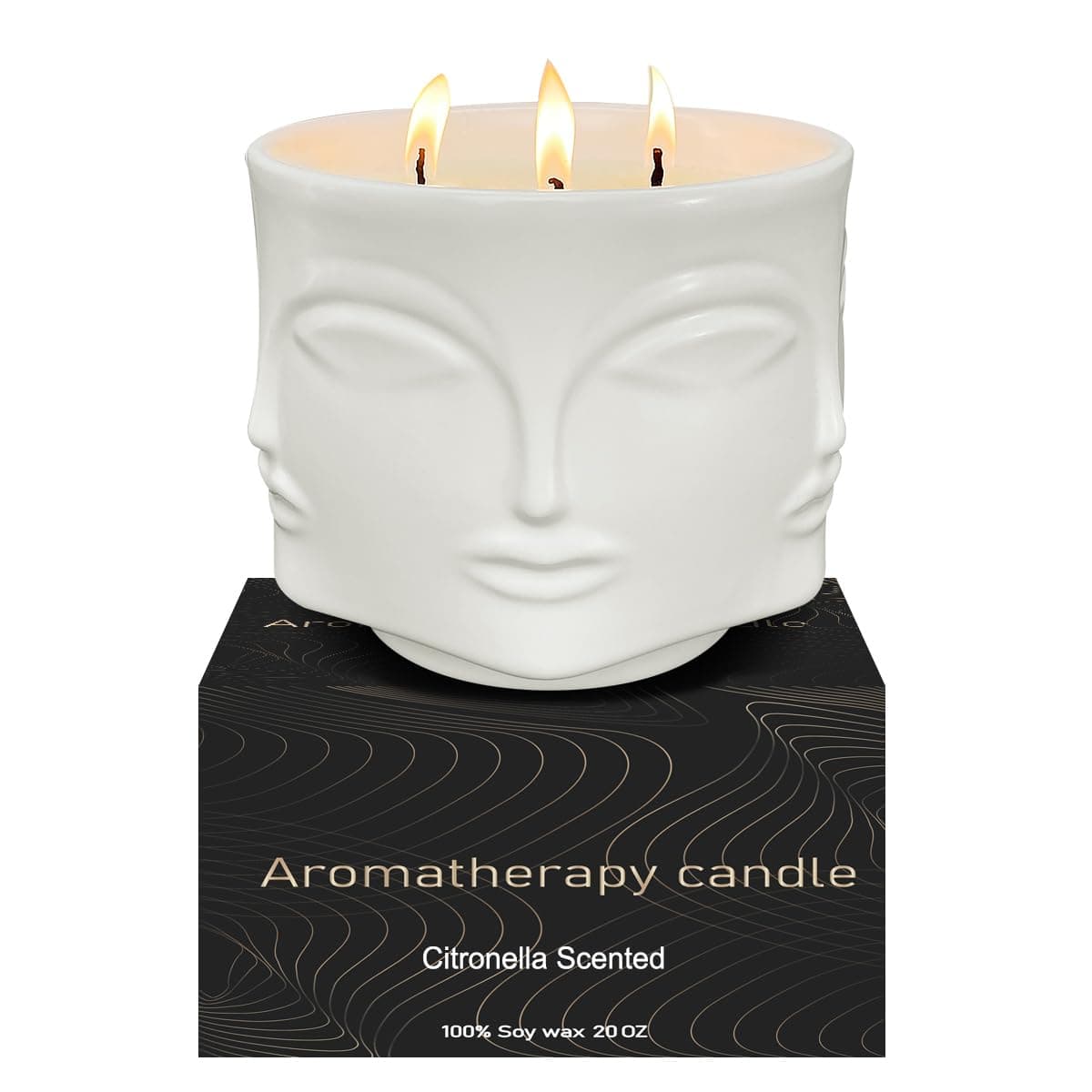 Viyffo 3 Pack Citronella Soy Candles Ceramic Jar Lemongrass 6oz