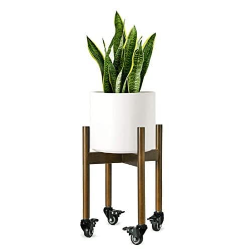 Corner Plant Stand Set of 2