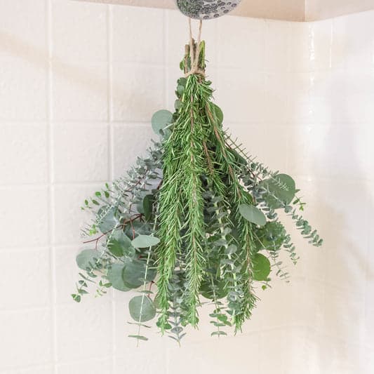 Fresh Eucalyptus Shower Bundle