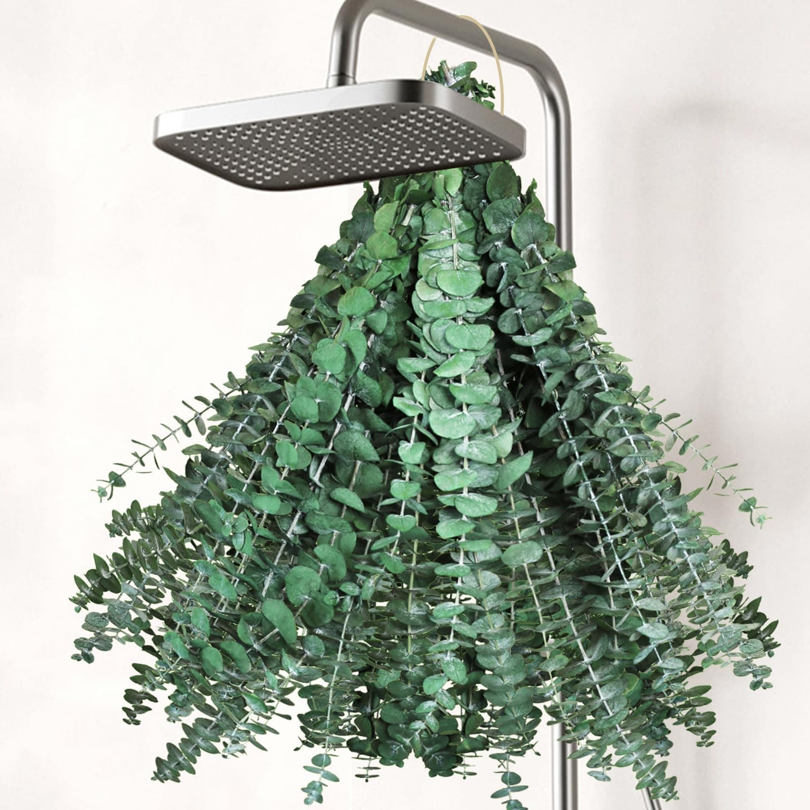 Fresh Eucalyptus Shower Bundle
