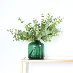 Faux Greenery Stems (Set of 6)