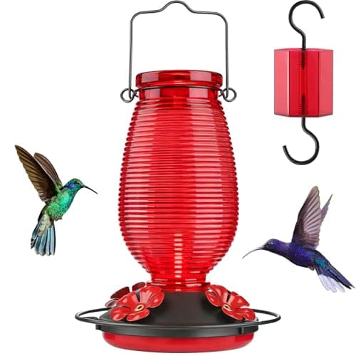 Glass Hummingbird Feeder with Perches