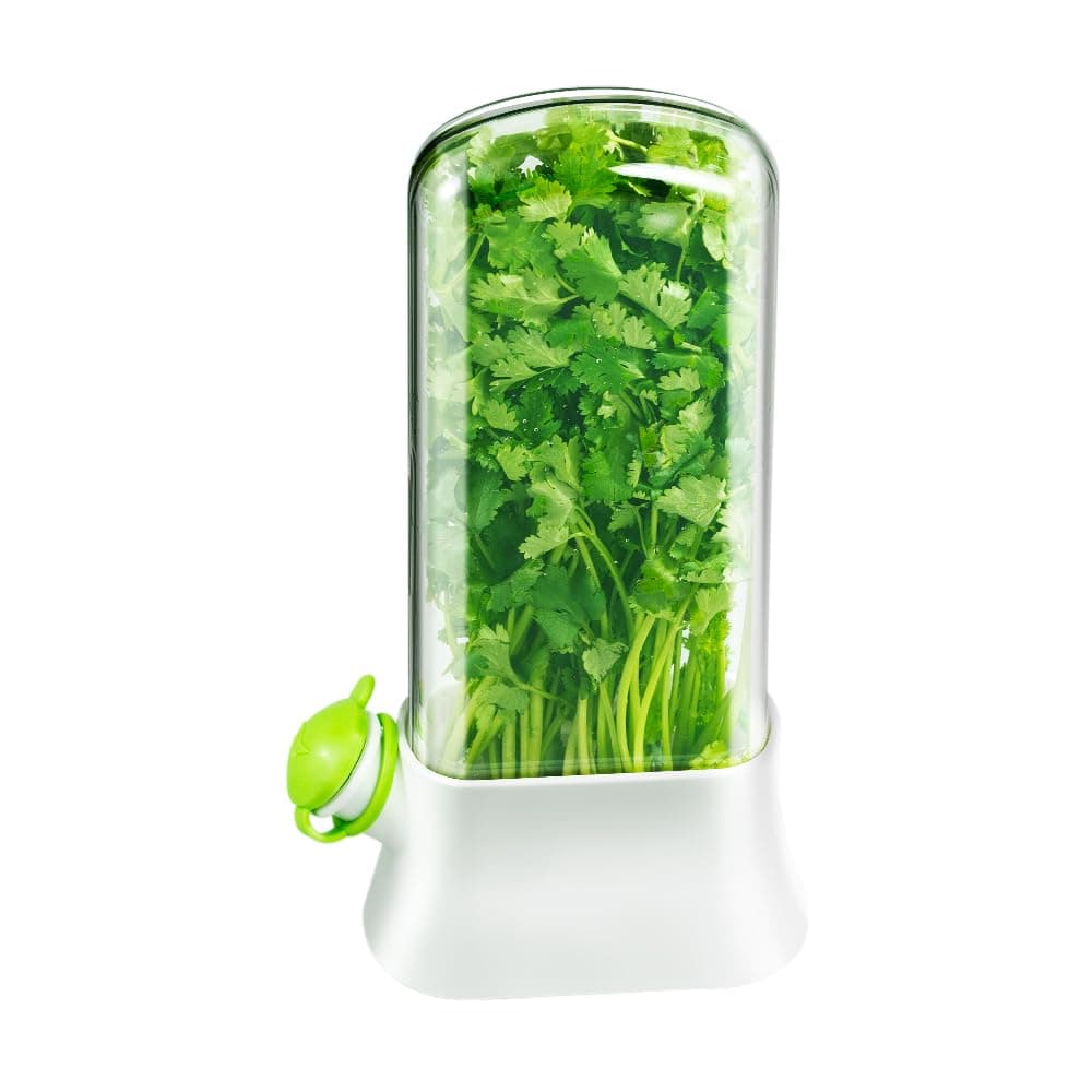 Fresh Herb Keeper Container for Refrigerator