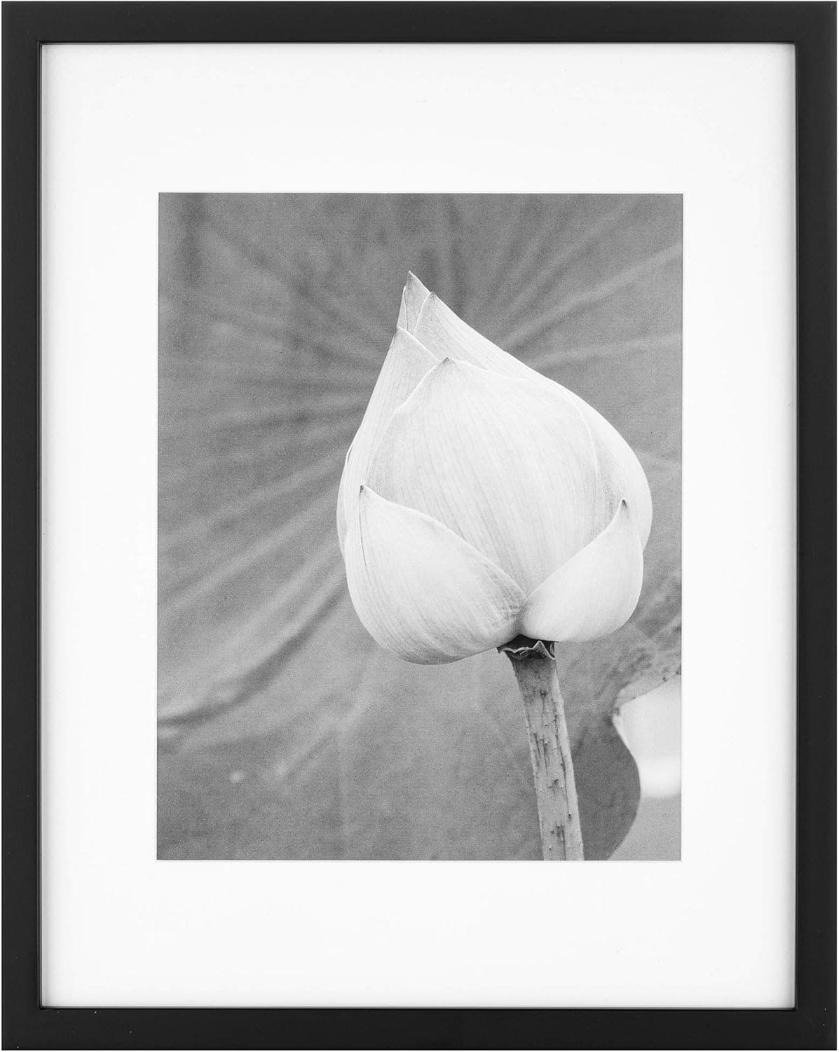 Gallery Perfect 10-Piece Picture Frame Wall Kit