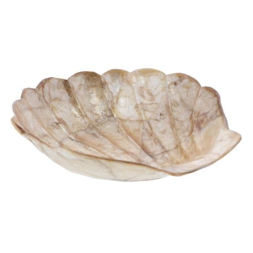 Gold Trimmed Scalloped Trinket Dish