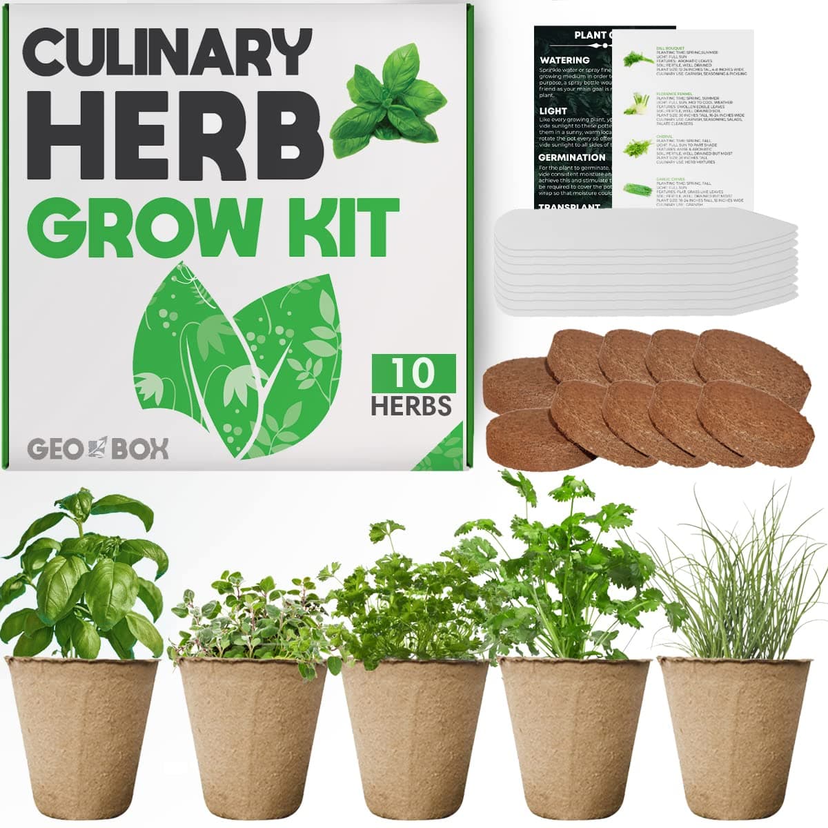 Planters' Choice Herb Garden Starter Kit (5 Varieties)