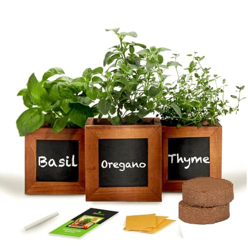 Indoor Herb Garden Kit with Wooden Planter