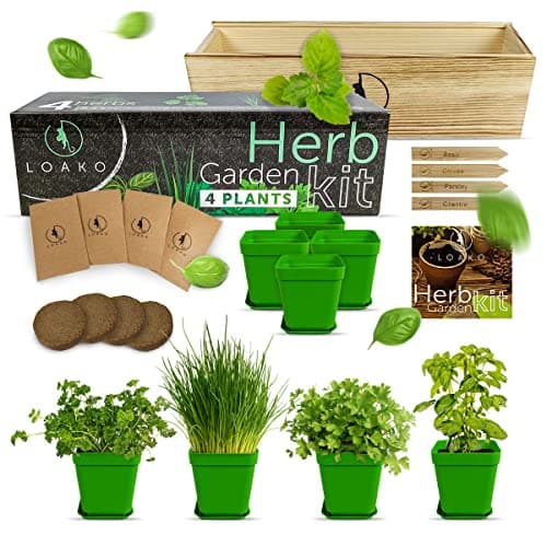 Spade To Fork USDA Organic Herb Garden Kit