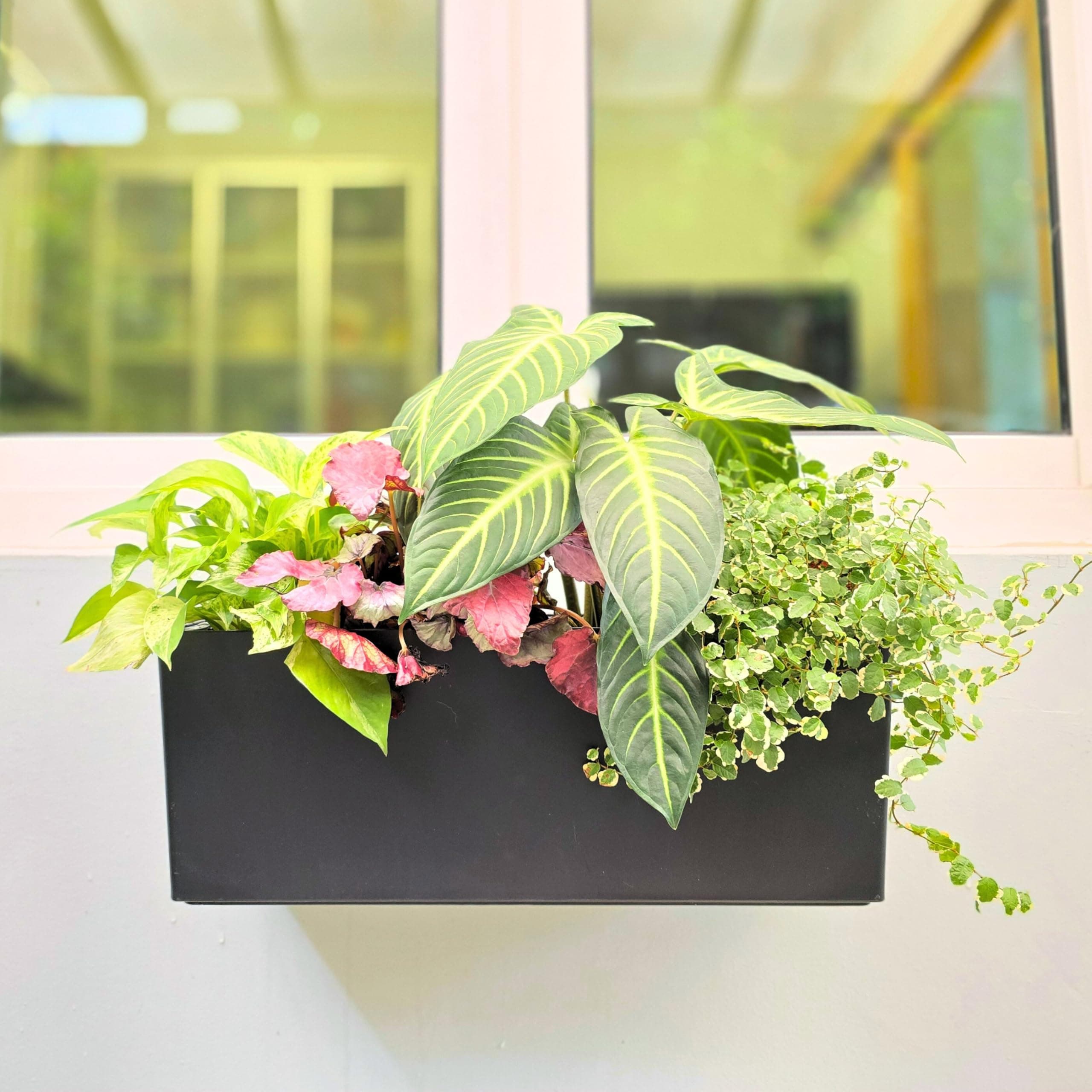 Wall-Mount House Number Planter Box (Matte Black)