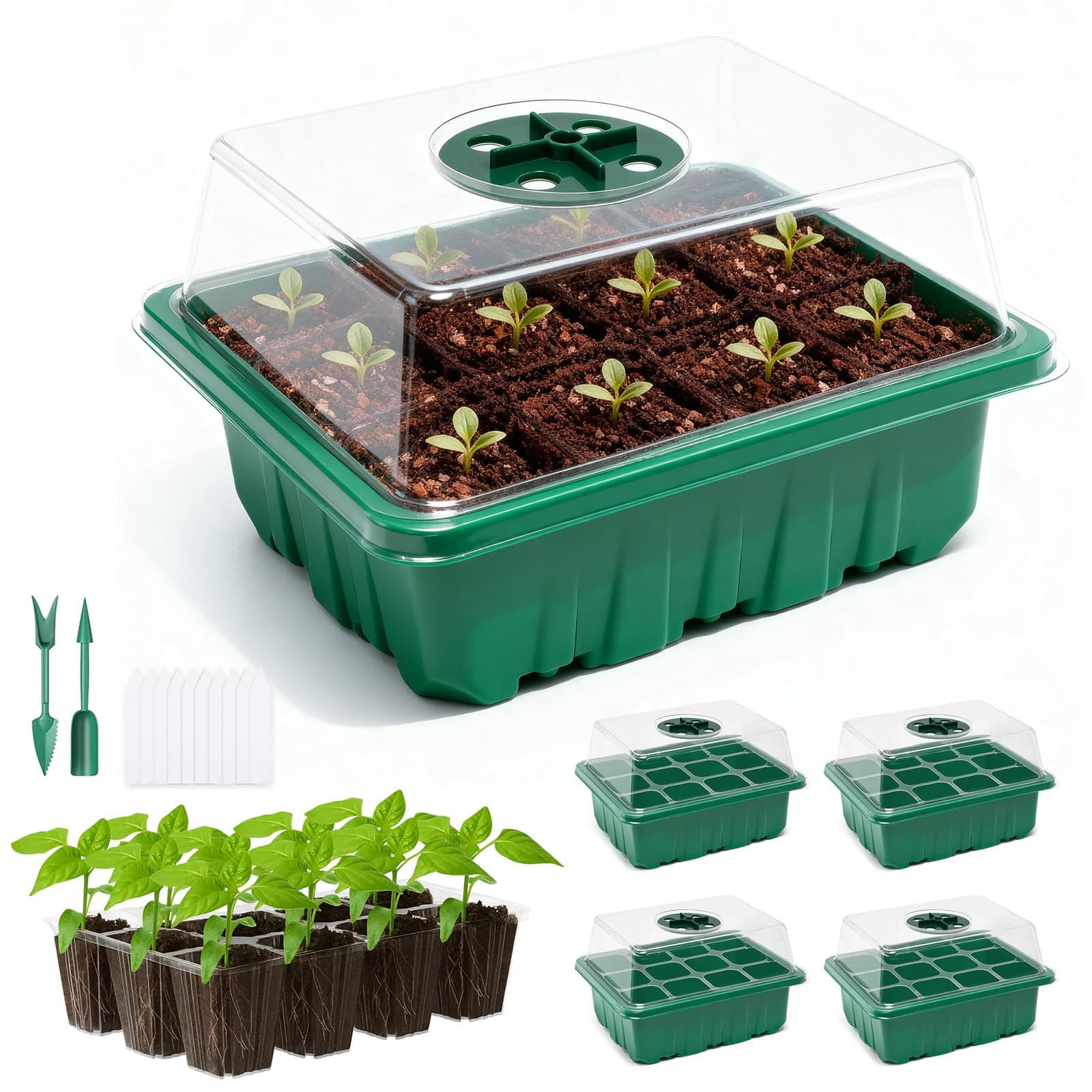 Indoor Herb Garden Starter Kit