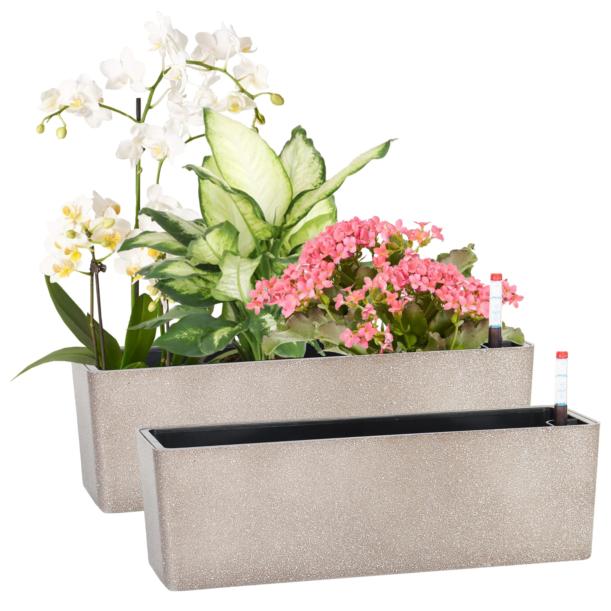 Rectangular Herb Planter with Bamboo Tray