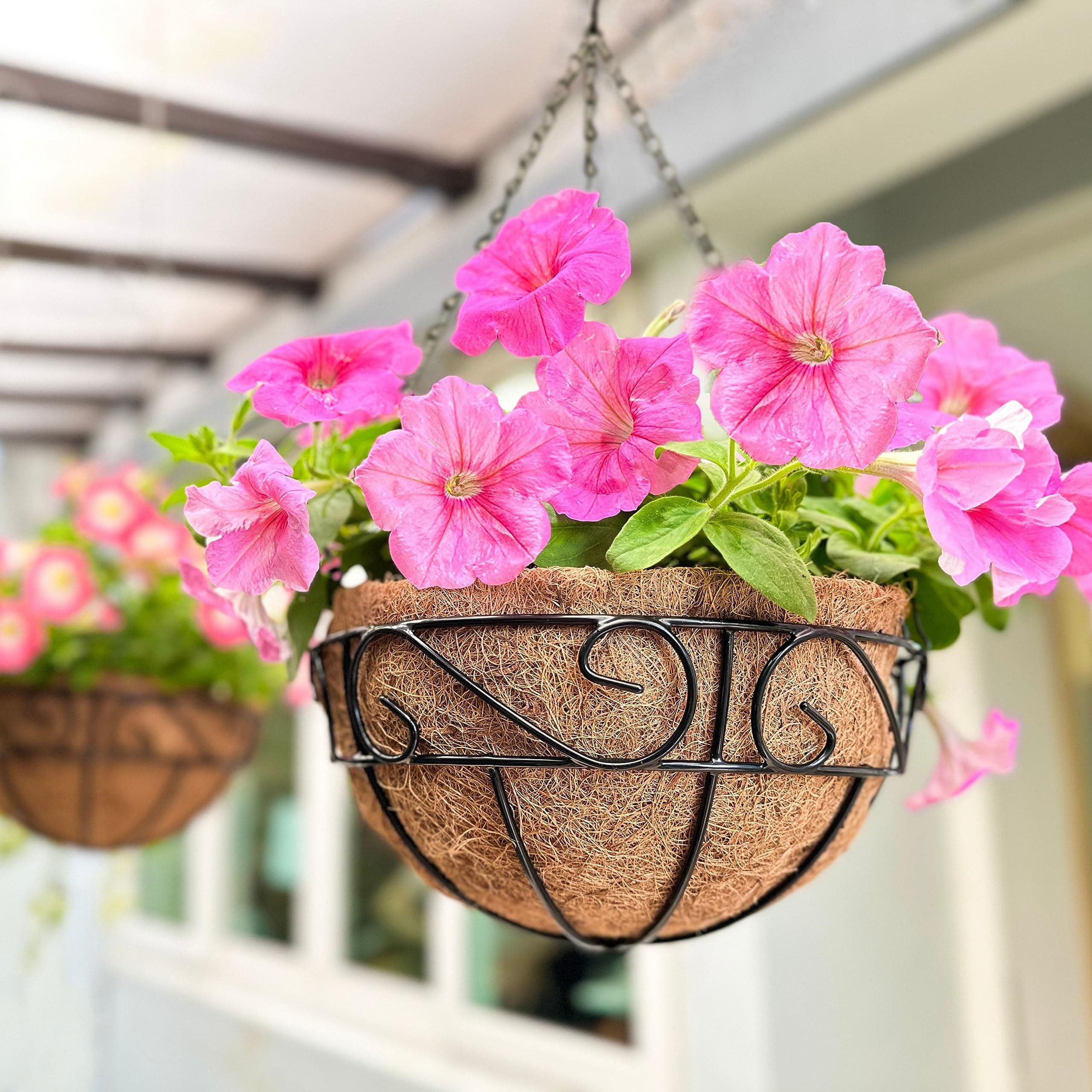 LaLaGreen 12-Inch Metal Hanging Planter 3-Pack