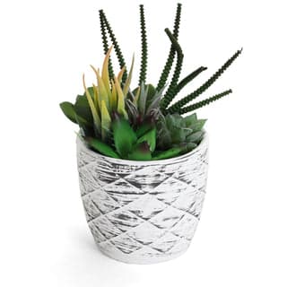 Mini Faux Succulent in Concrete Planter