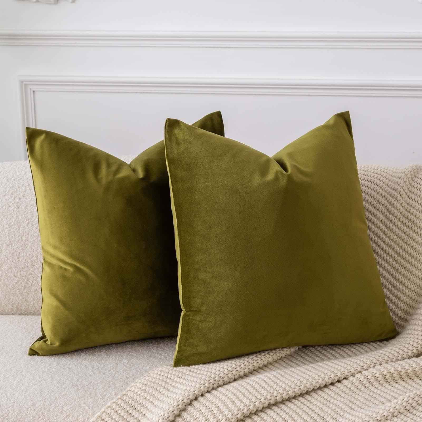 Velvet Pillow Cover Set of 2