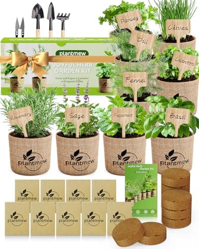 Culinary Herb Seeds Starter Kit (6 Varieties)