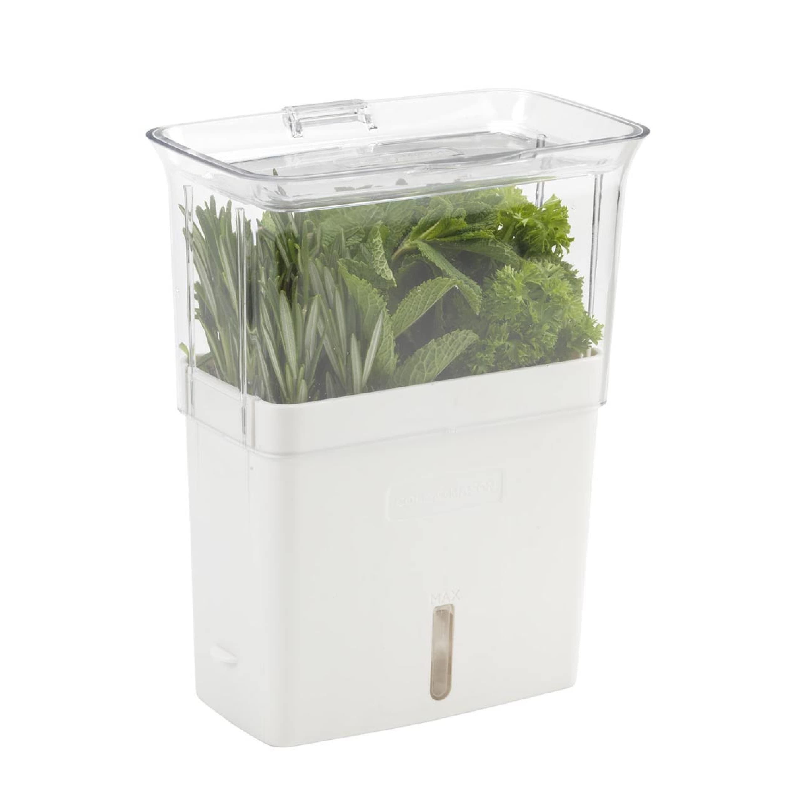 Norpro Fresh Herb Keeper