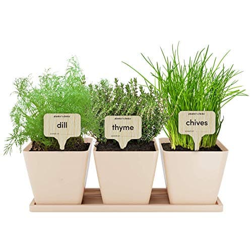 Planters' Choice 9 Herb Indoor Window Garden Kit - Seeds and Soil Included