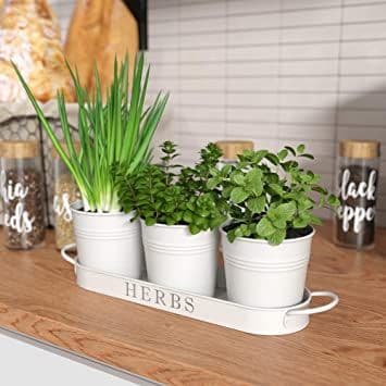 Small Herb Planter Pot with Drainage Tray