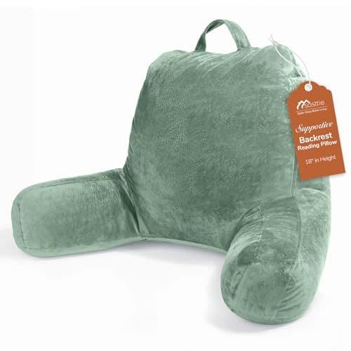 Sasttie Velvet Reading Pillow