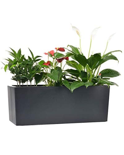 Lechuza Cascada Self-Watering Window Box