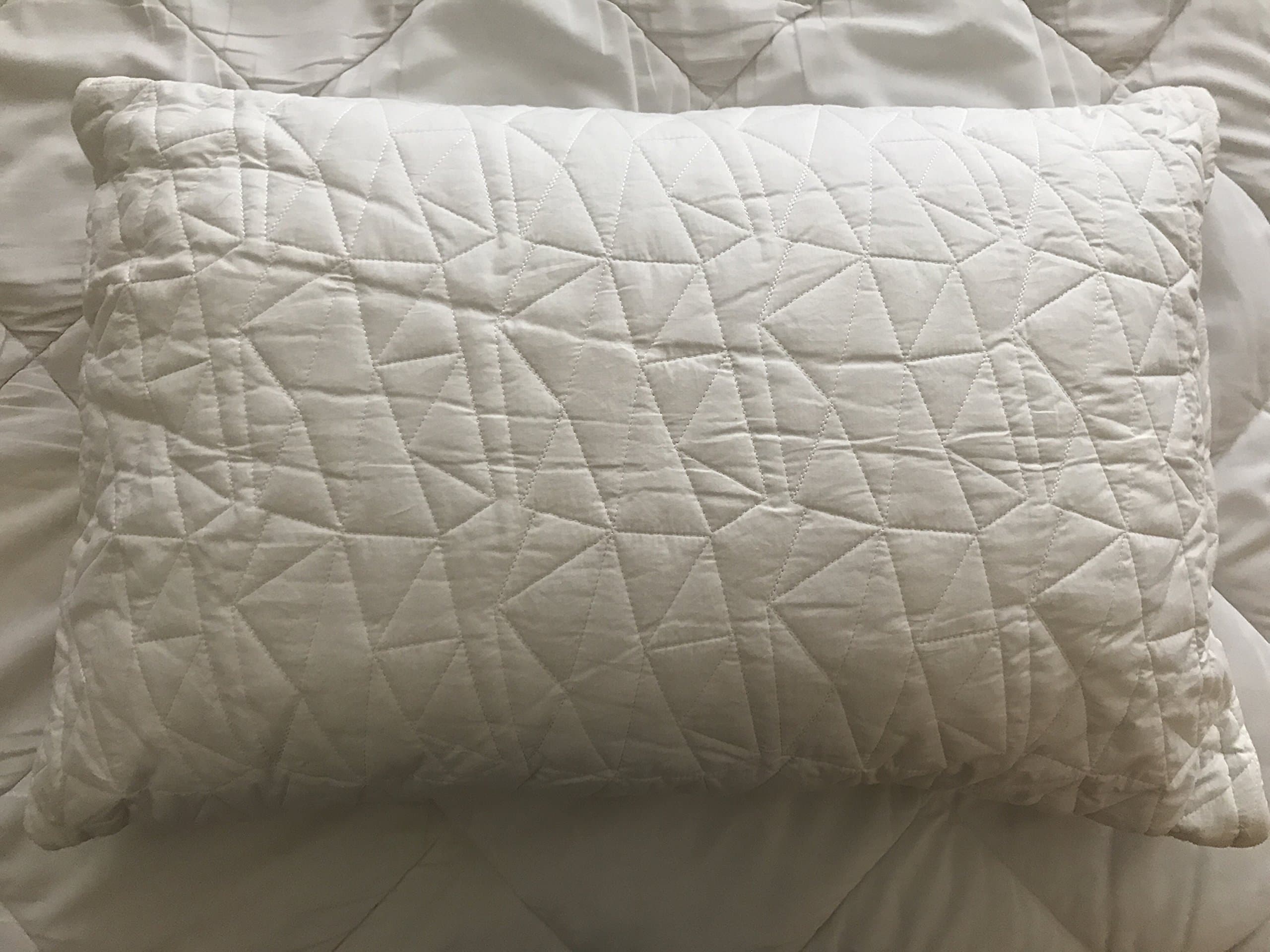 Shredded Latex Cooling Pillow with Bamboo Cover