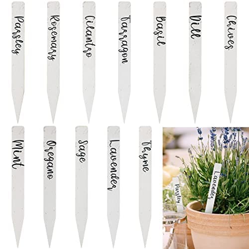 KINGLAKE Large Slate Plant Labels with Metal Stakes Set of 10