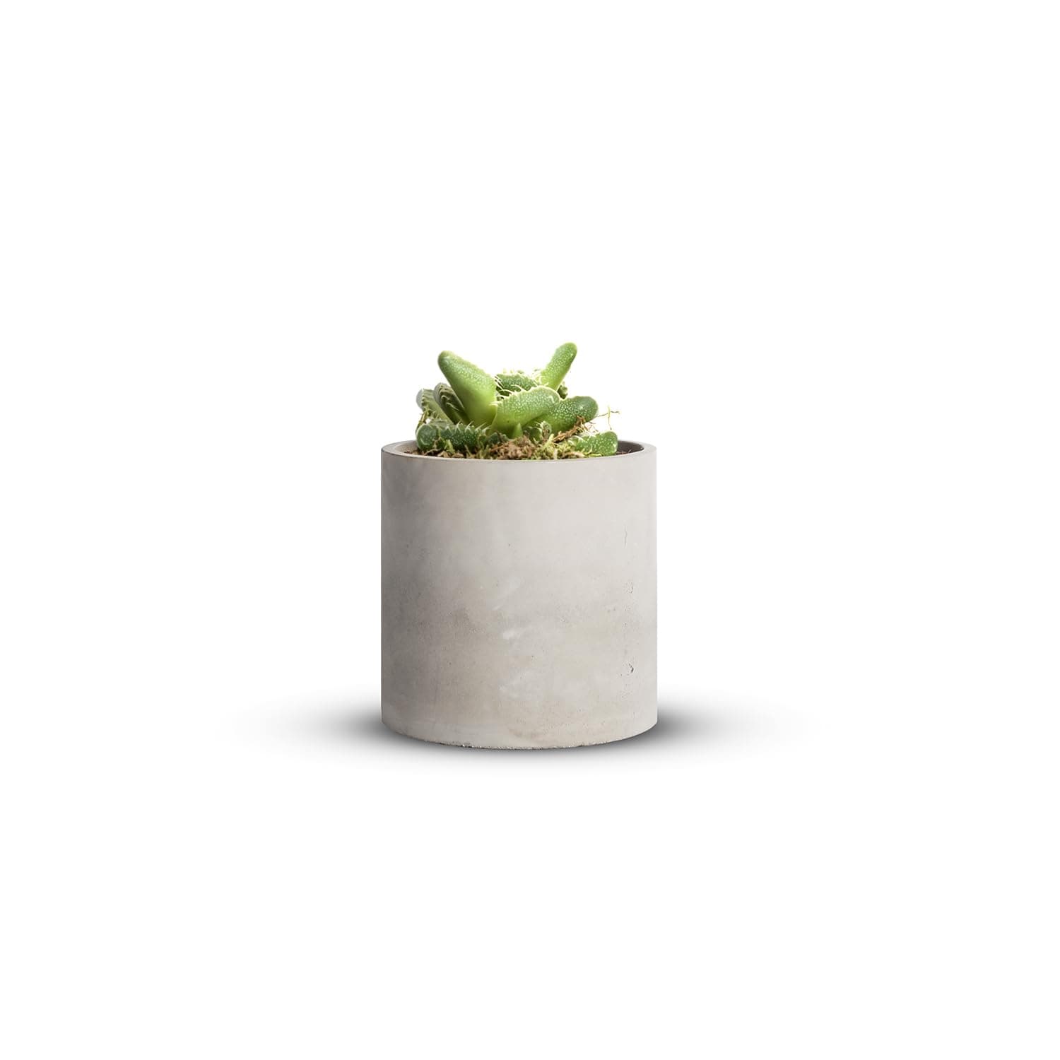 Small Cement Planter Pots Set of 4