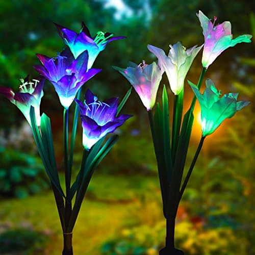 Solar Garden Stake Lights with Multiple LED Heads