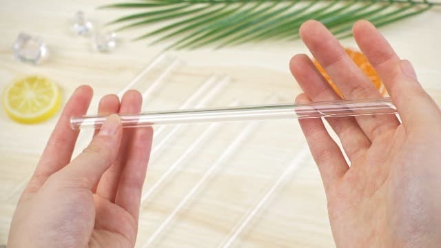 Stainless Steel Reusable Straws (Set of 8)