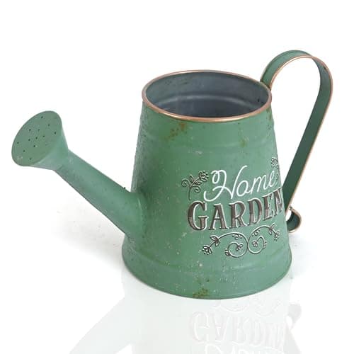 Watering Can Stainless Steel Indoor Plants 35 oz Long Spout