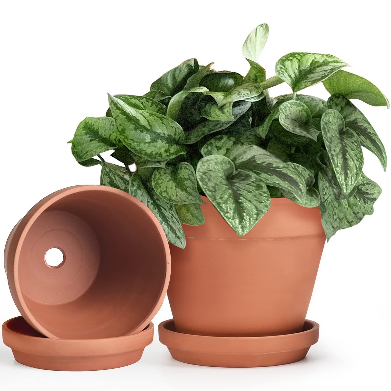 Suwimut 4-Pack Terracotta Pots with Saucer