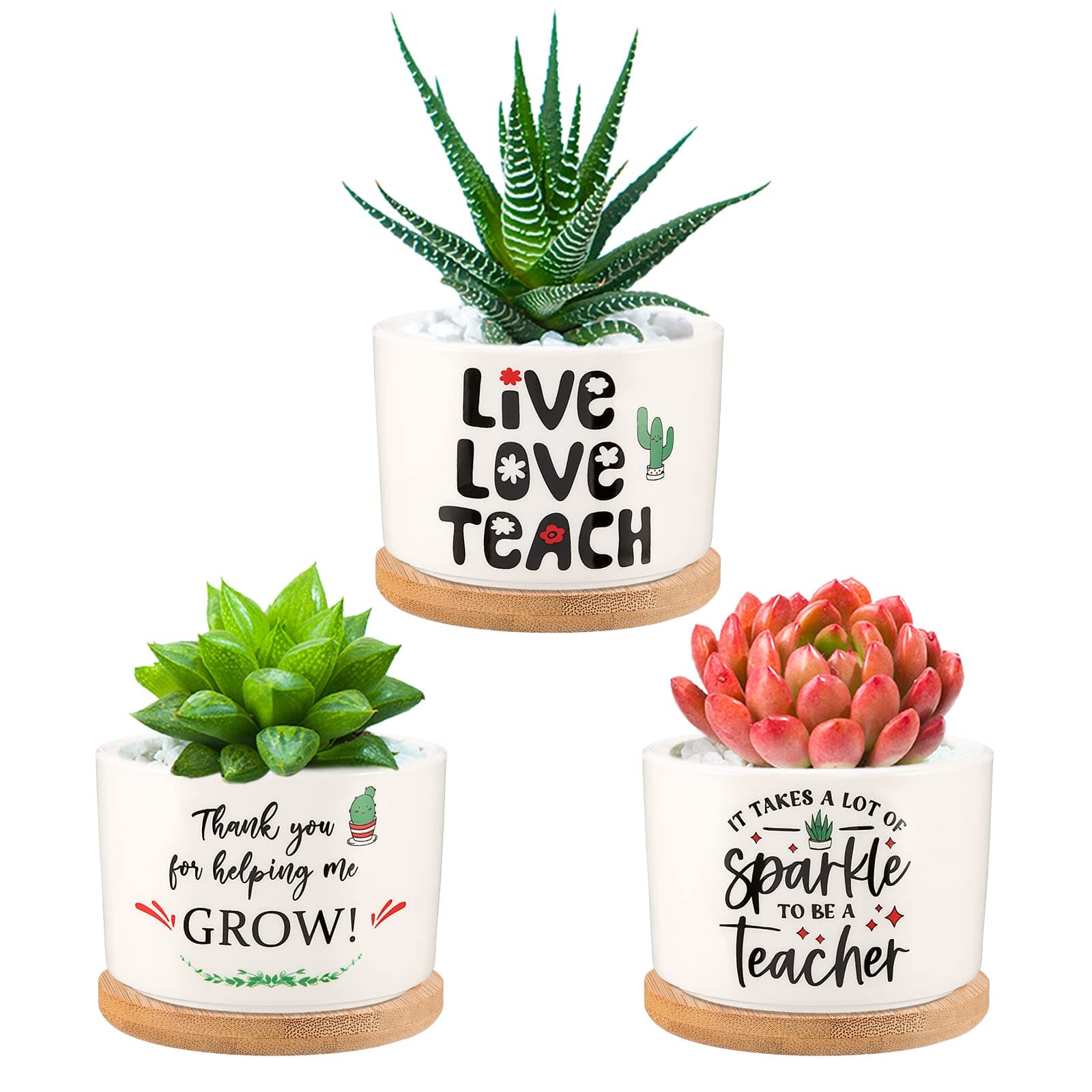 PARBEE Teacher Appreciation Succulent Planter Pot Ceramic