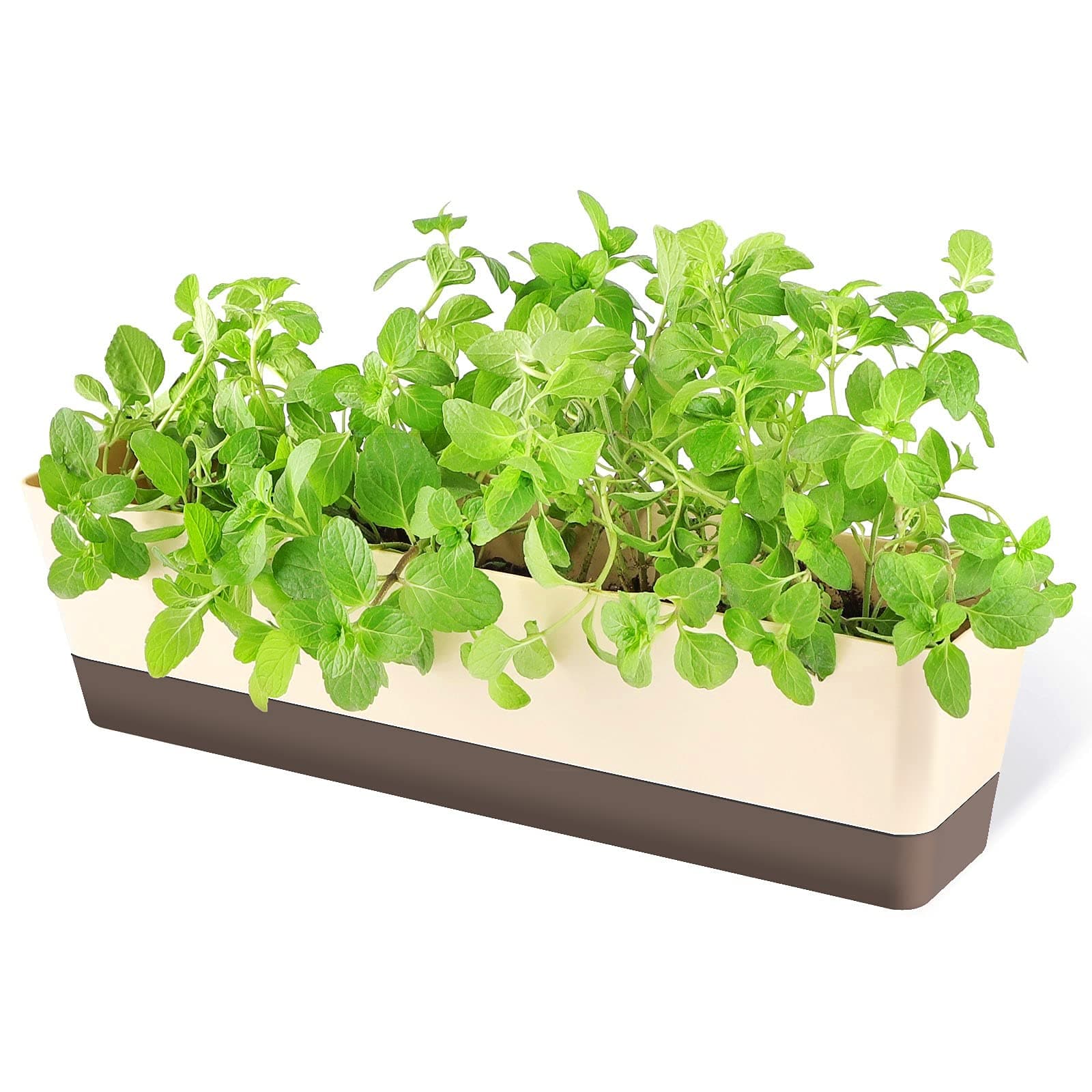 WEIDNER Terra Cotta Pots Set of 6