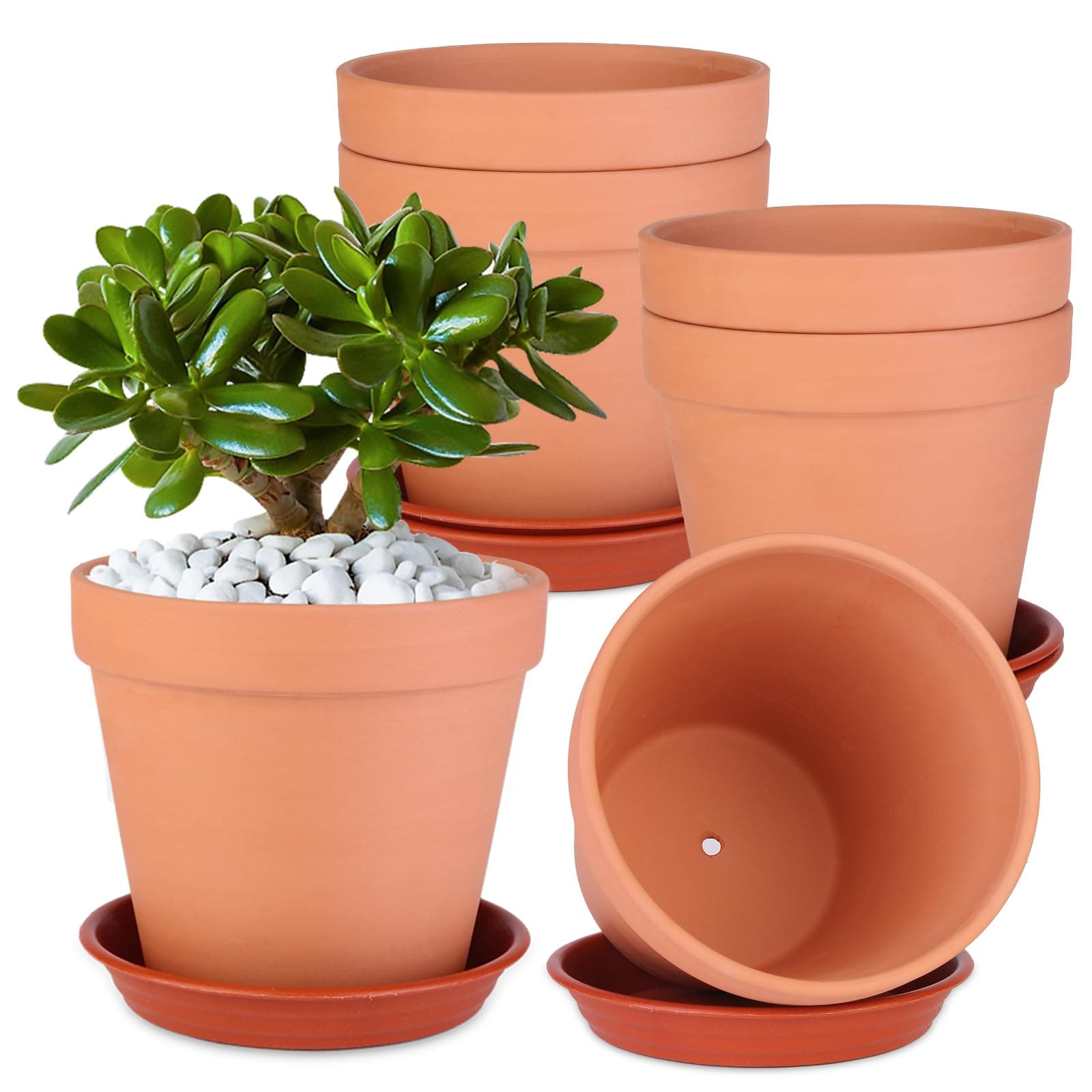 Tuqaumu Terracotta Pots 6-Pack 6 Inch