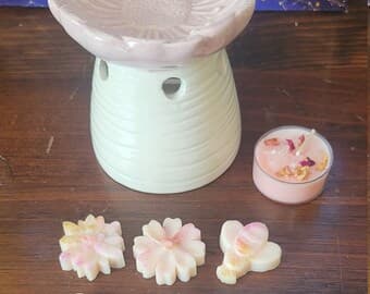 Wax Warmer with Melts Starter Kit