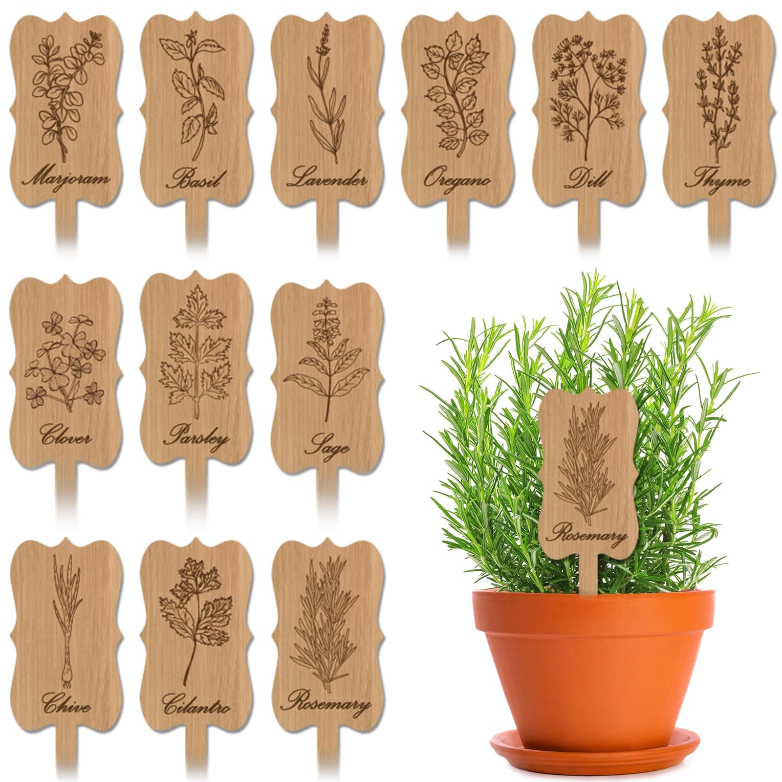 Amyhill Farmhouse Wood Plant Label Stakes Set of 12