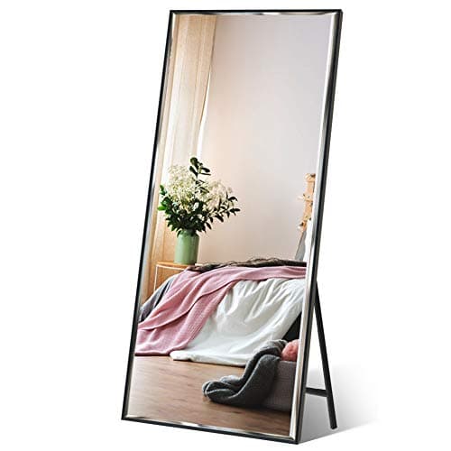 ZBEIVAN 65 x 23.6 in. Full Length Mirror — Black
